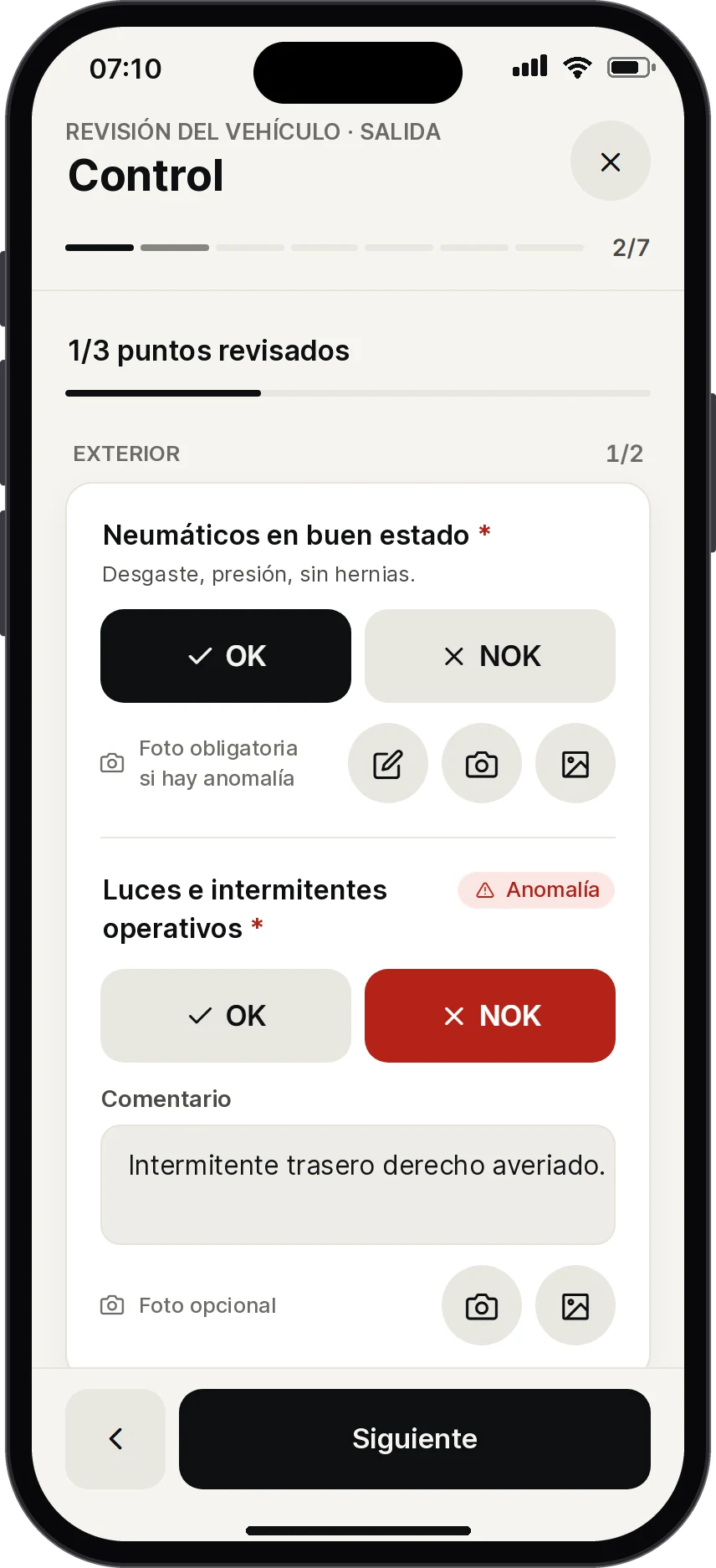 Revisión del vehículo, paso Control: neumáticos correctos, luces con una anomalía y un comentario.